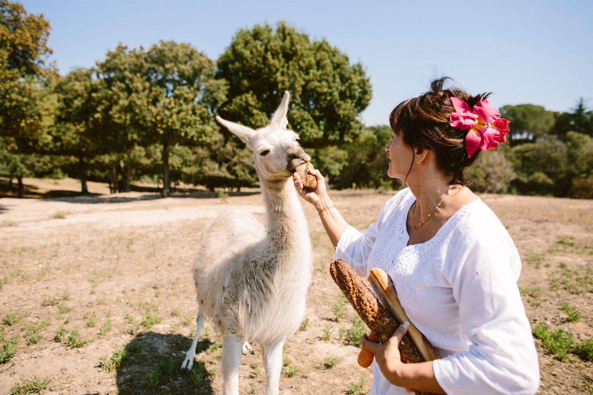 Marie Claire Gaddoni and one of the llama gardeners of the Domaine.