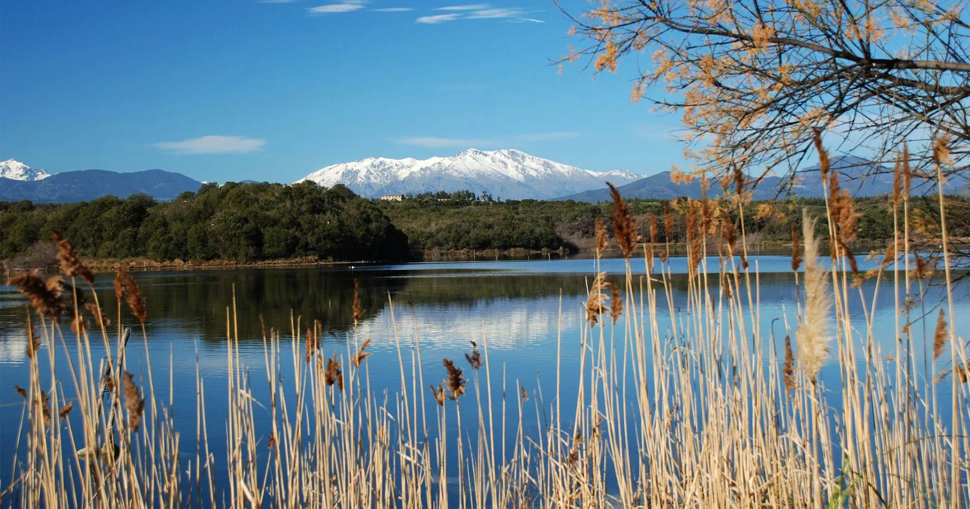 From the Domaine de Riva, enjoy magnificent views of the snowy mountains in winter.