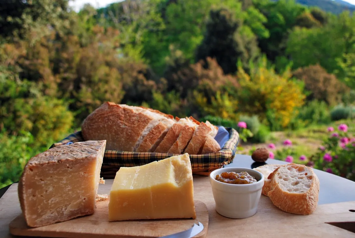 A few Corsican specialities, corsican cheese 